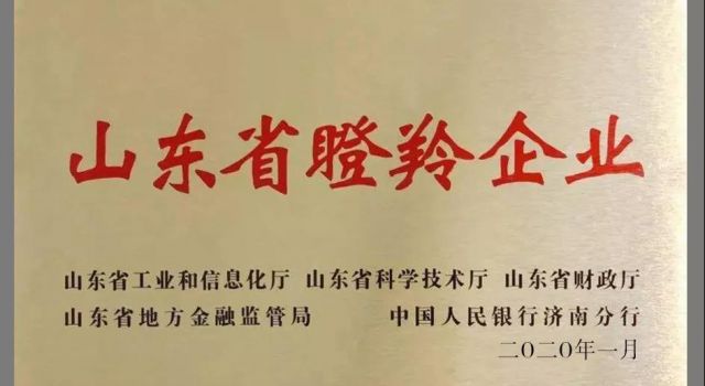 藍想環(huán)境被認定為山東省第三批瞪羚企業(yè)