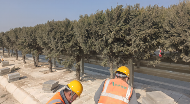 濟菏改擴建二標段節后進行中分帶小方磚鋪砌施工